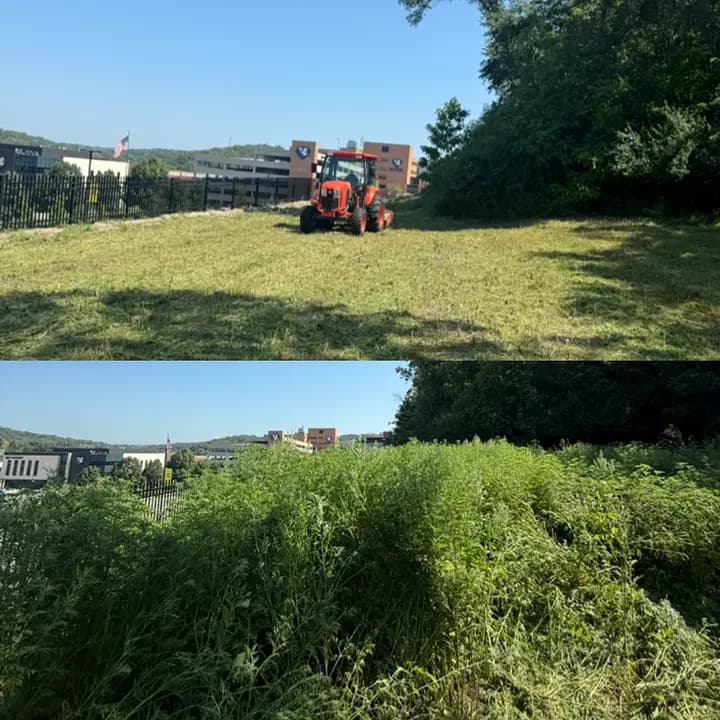 Land Clearing