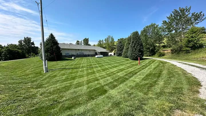 Lawn Stripes
